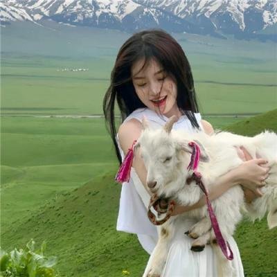 哈利波特：凤凰会的密令