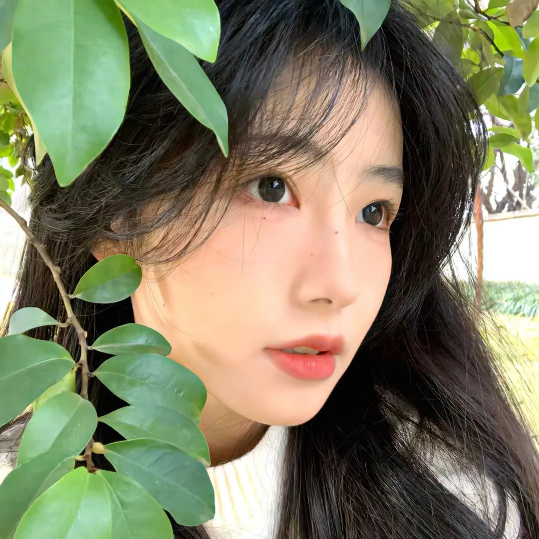 大道似锦